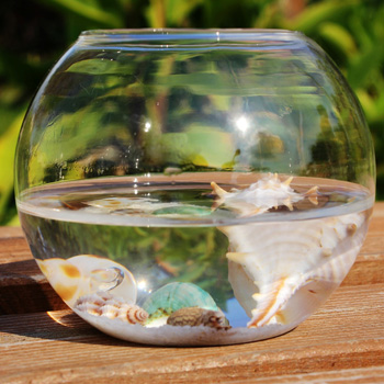 Aquarium boule