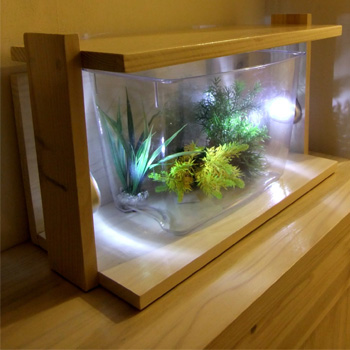 Aquarium moderne