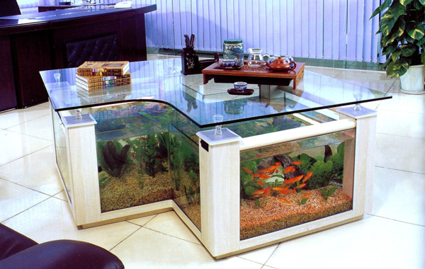  Aquarium  design meubles accessoires d aquarium 