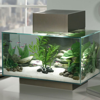 Nano aquarium