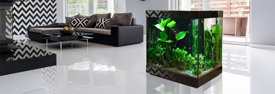 aquarium design