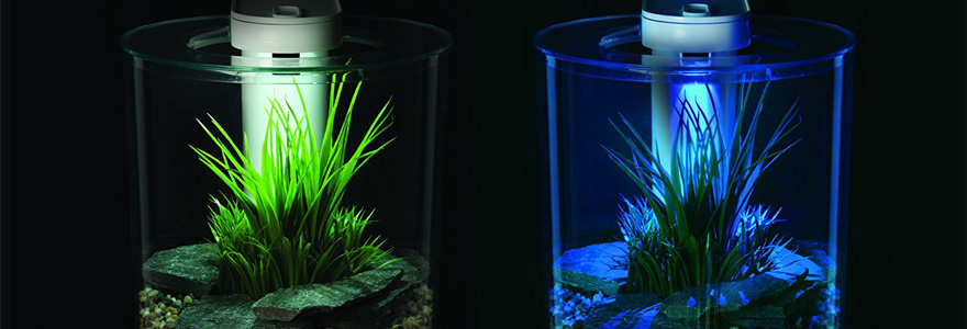 aquariums design
