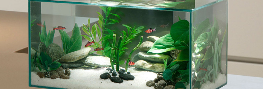 accessoires pour aquarium